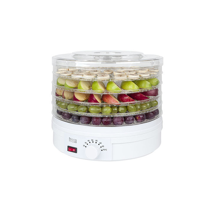 DESHIDRATOR FRUCTE/LEGUME/CIUPERCI TEESA