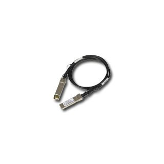 Network Cable NETGEAR (SFP+ (Masculin) - SFP+ (Masculin), 1m)