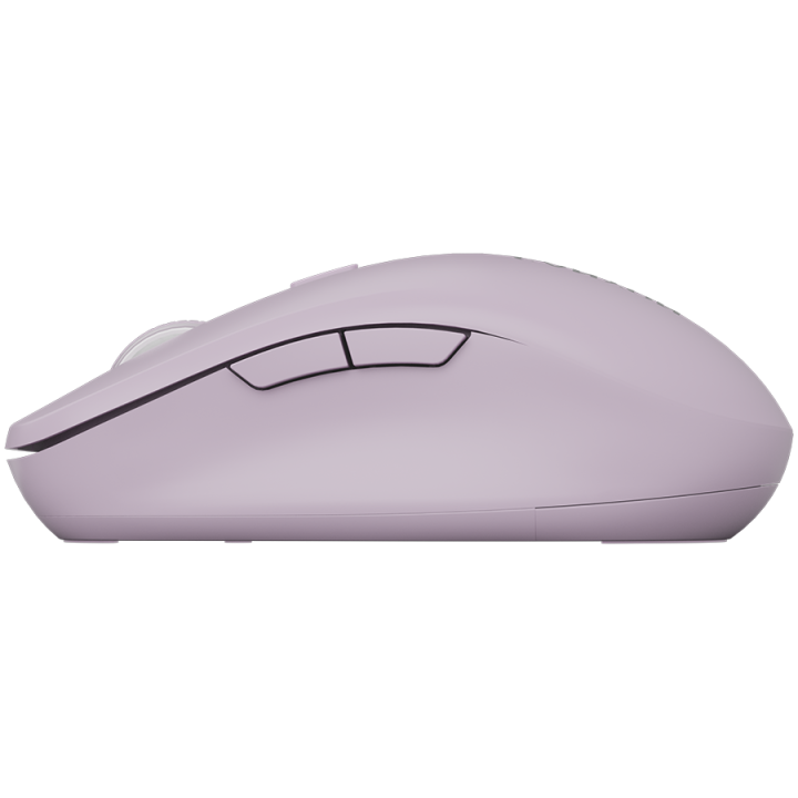 CANYON mouse MW-12 Dual band Wireless Pink