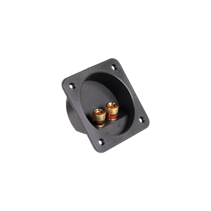 CONECTOR BOXA 2 TERMINALE GOLD
