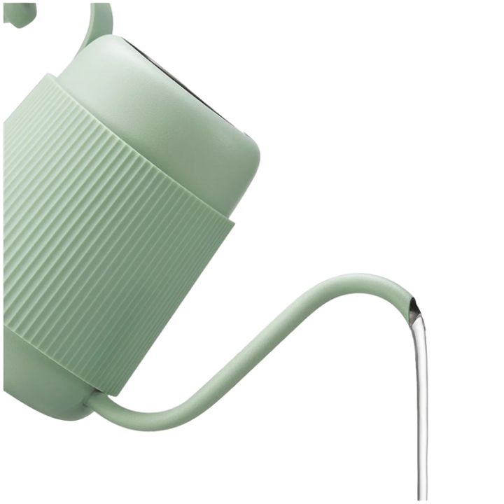 BUYDEEM Gooseneck Pour Over Coffee Kettle, model CD2006, color Cozy Greenish