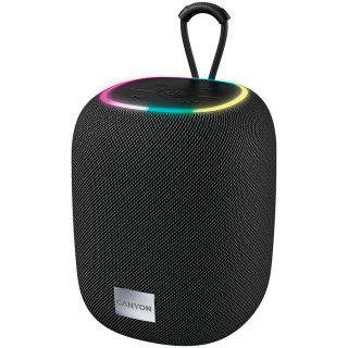 CANYON speaker BSP-8 10W Black