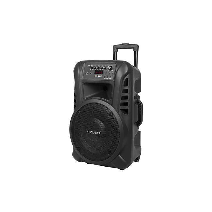 SISTEM AUDIO PORTABIL SD BLUETOOTH USB 12 INCH 20W